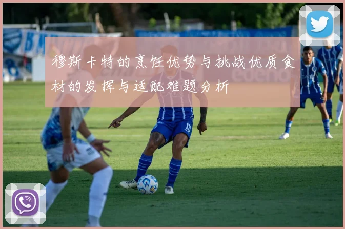 穆斯卡特的烹饪优势与挑战优质食材的发挥与适配难题分析